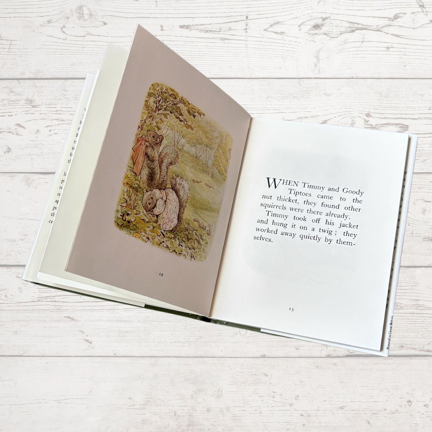 The Tale of Timmy Tiptoes. Vintage Beatrix Potter Book. 1989 edition. Great Gift Idea