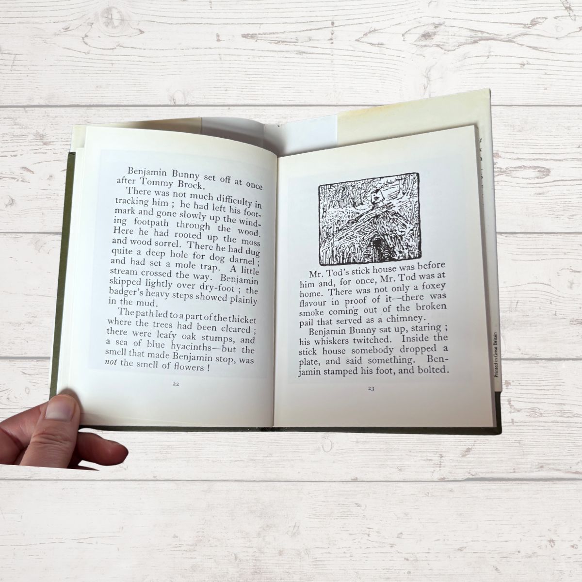 Open book with text and illustration on a wooden surface