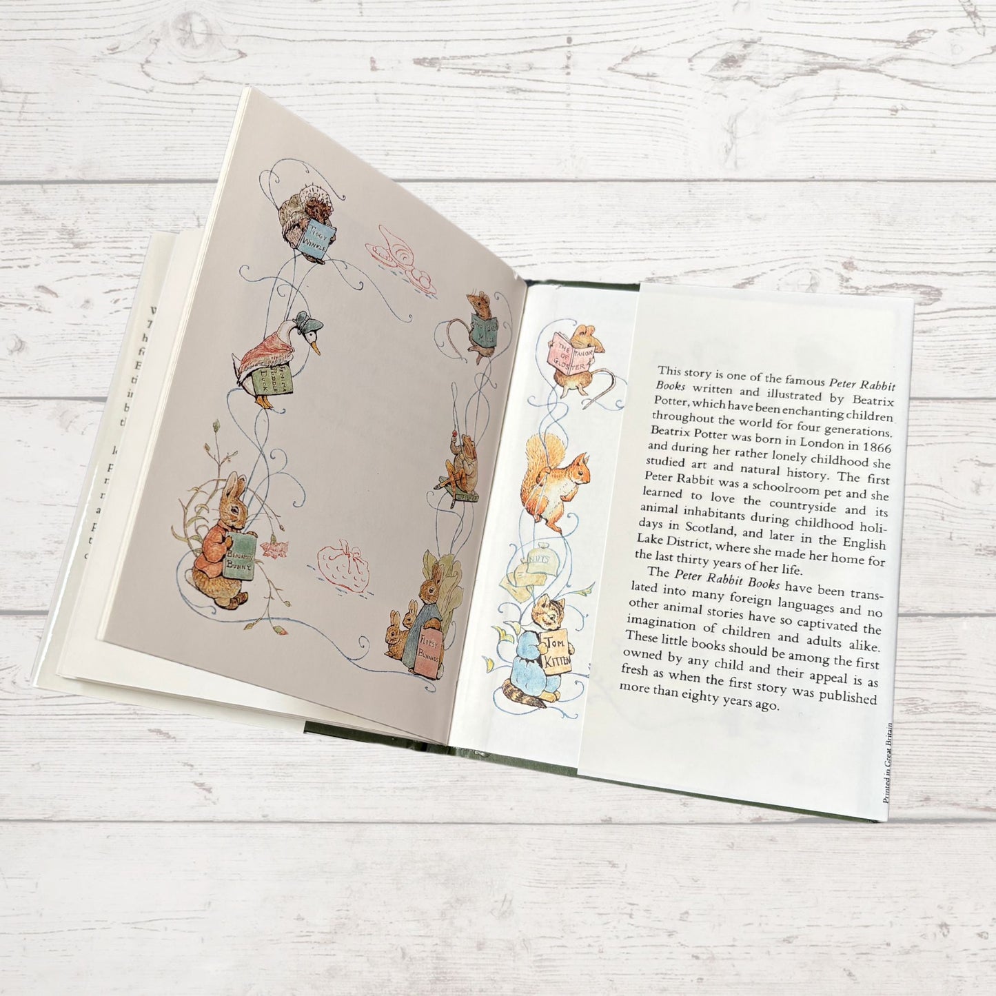 The Tale of Timmy Tiptoes. Vintage Beatrix Potter Book. 1989 edition. Great Gift Idea