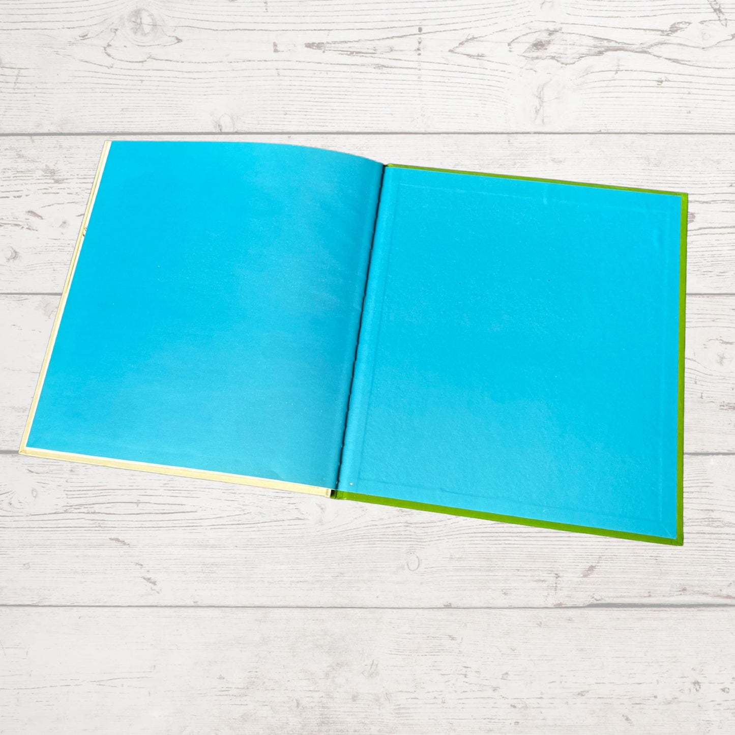 Vintage 1970s Children's Book: The Hare   - Beautifully Illustrated Educational Hardback Animal  & Nature Facts