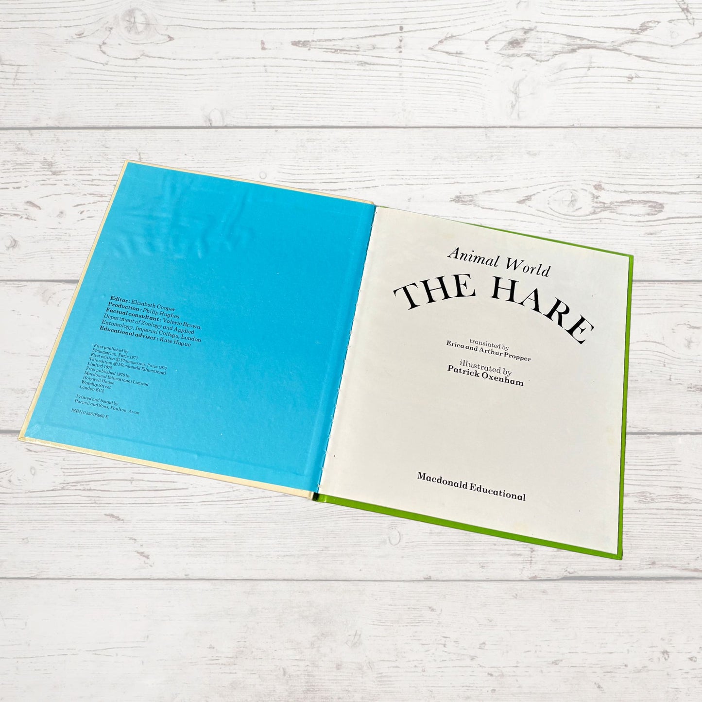 Vintage 1970s Children's Book: The Hare   - Beautifully Illustrated Educational Hardback Animal  & Nature Facts