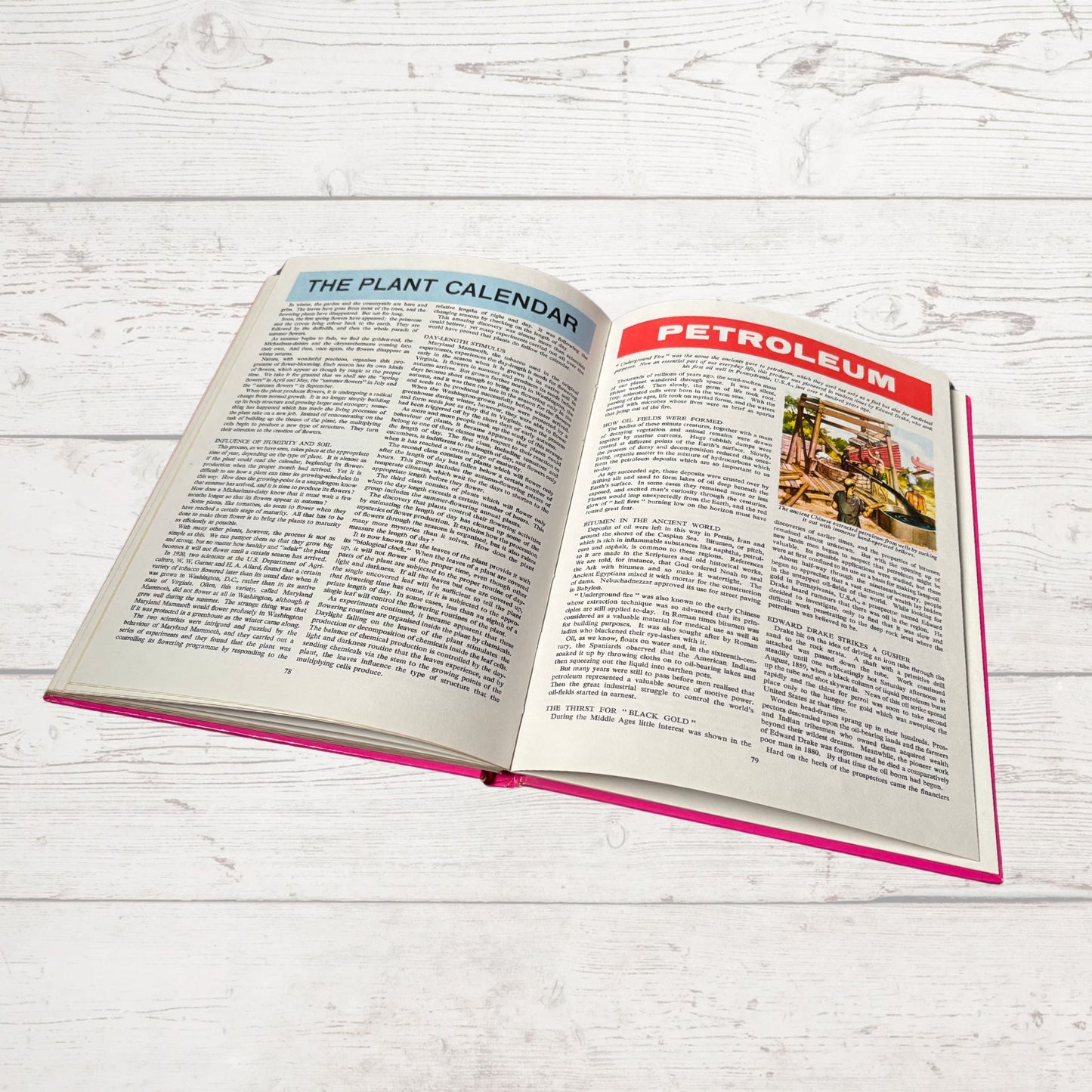 Vintage 1970s Children's Book: Our World  - Beautifully Illustrated Colourful Hardback Encyclopaedia