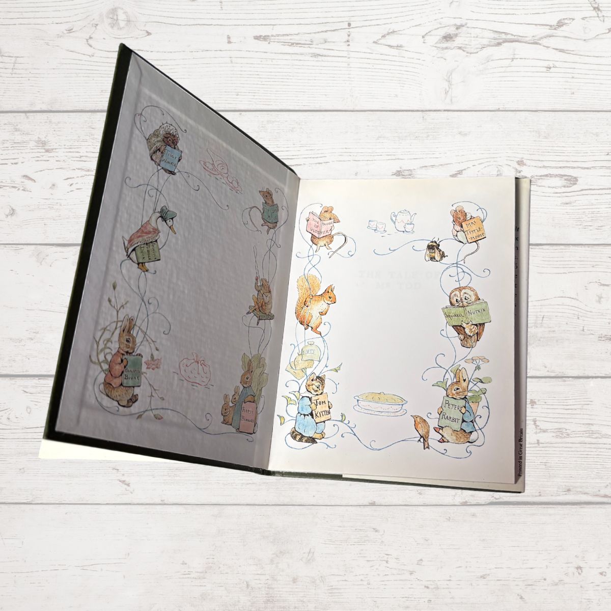 Open book with illustrated pages on a wooden surface