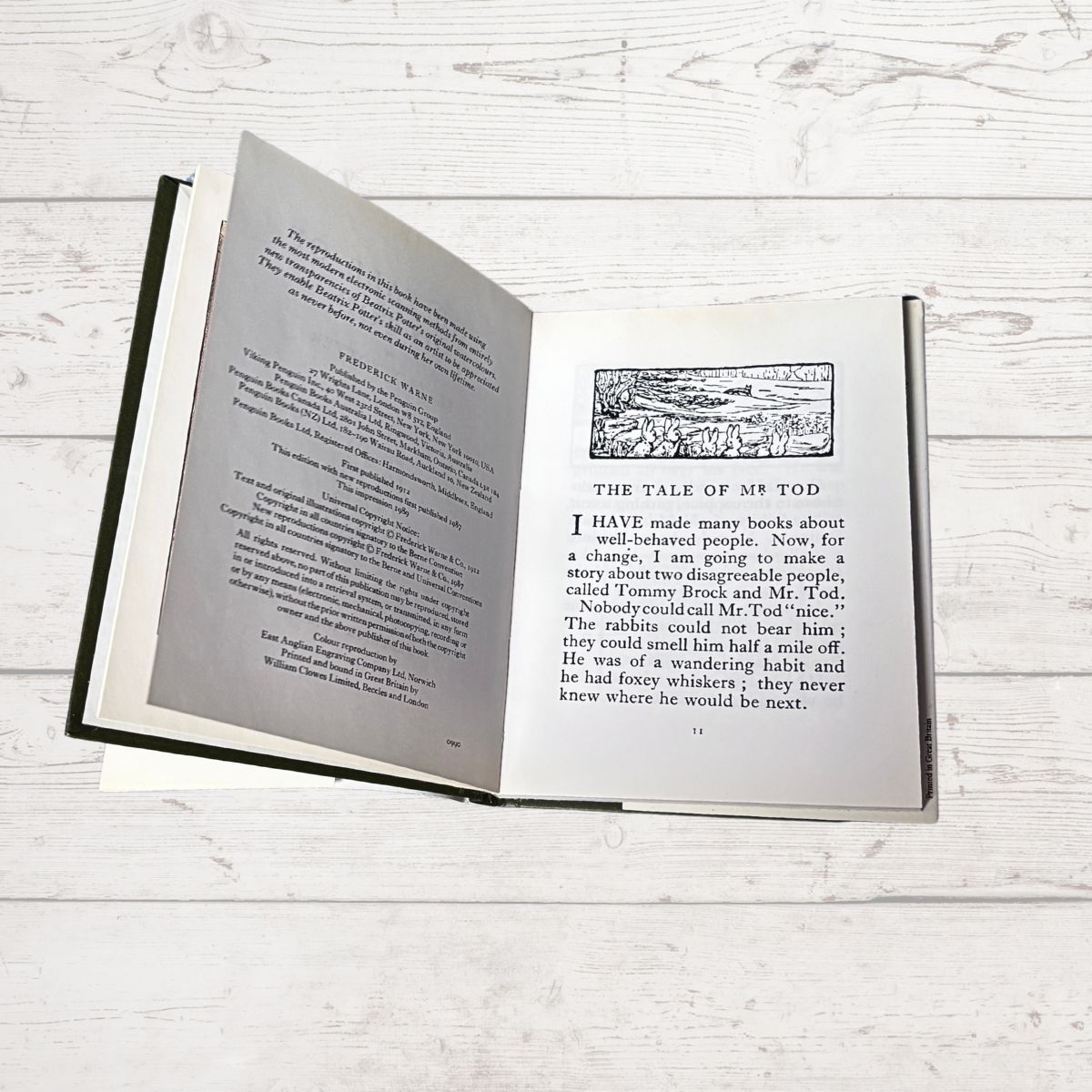 Open book on a wooden surface with text and illustration