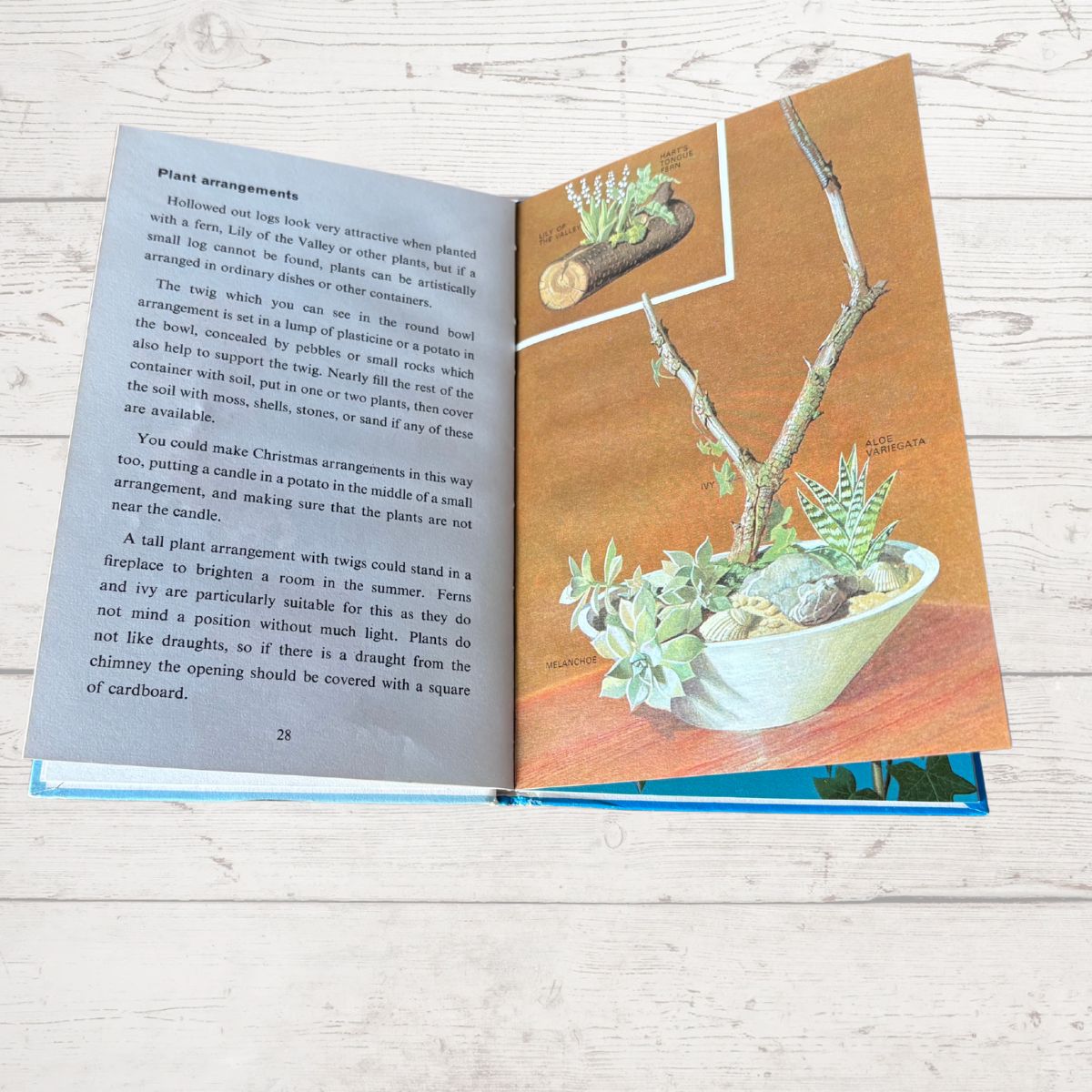 Open book with illustrations of plant arrangements on a wooden surface
