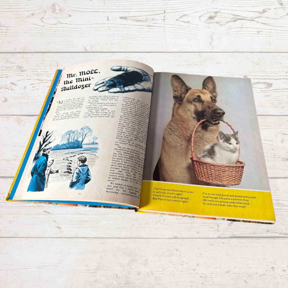 Open book showing a dog with a cat in a basket on a wooden surface