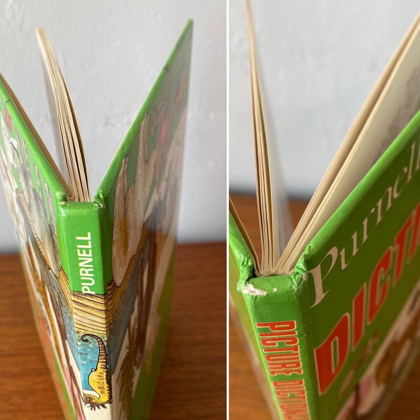 Vintage picture book. Purnell’s Picture Dictionary of Nature, 1980. Great gift idea. Beautiful illustrations.