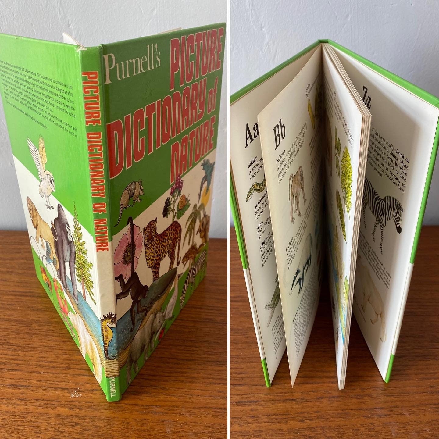Vintage picture book. Purnell’s Picture Dictionary of Nature, 1980. Great gift idea. Beautiful illustrations.