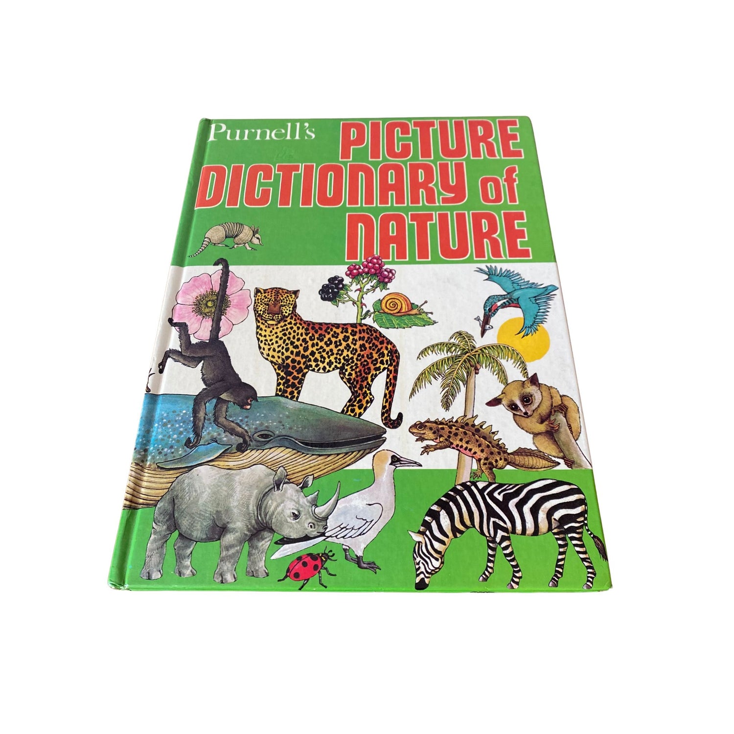 Vintage Animal and Nature Books