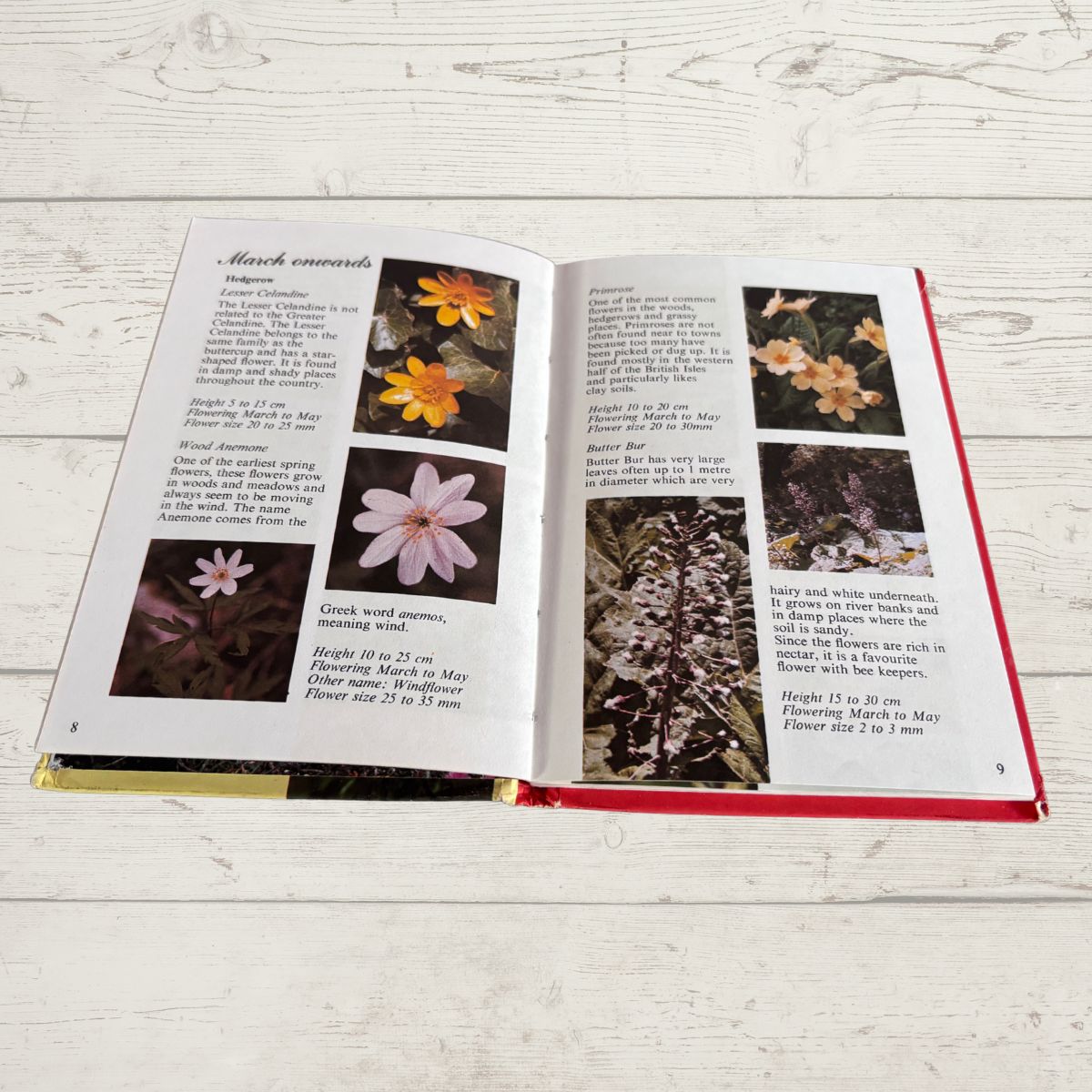 British Wild Flowers. 1970s Vintage Ladybird Book. Series 727.