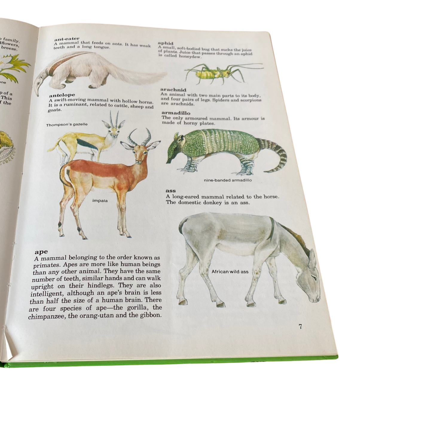 Vintage picture book. Purnell’s Picture Dictionary of Nature, 1980. Great gift idea. Beautiful illustrations.