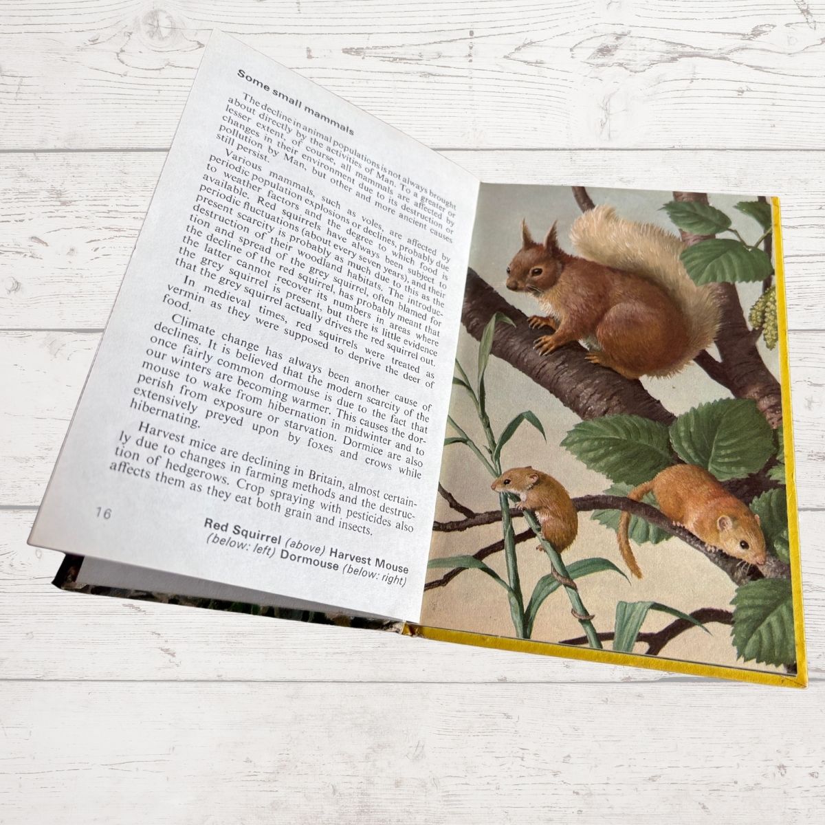 Vintage 1970s book, Wild Life in Britain. A Ladybird  Conservation Book. Series 727