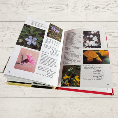 British Wild Flowers. 1970s Vintage Ladybird Book. Series 727.