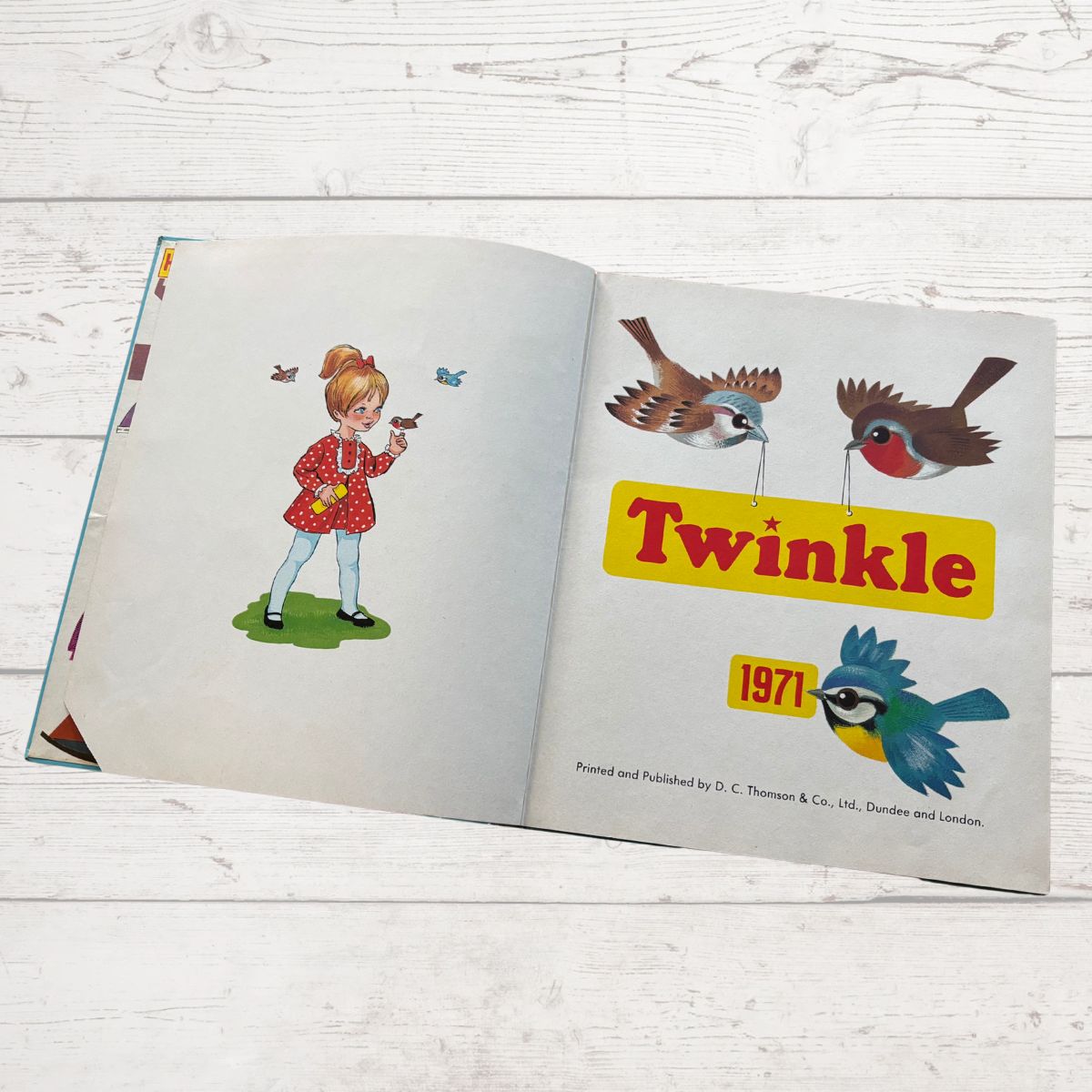 Open book showing illustrations of a girl and birds with 'Twinkle' branding on a wooden surface.