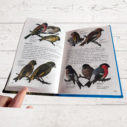 An open illustrated bird reference book spread on a white wood surface, with a person's finger pointing at the left page. The pages show labeled bird illustrations and text, including finches and warblers.