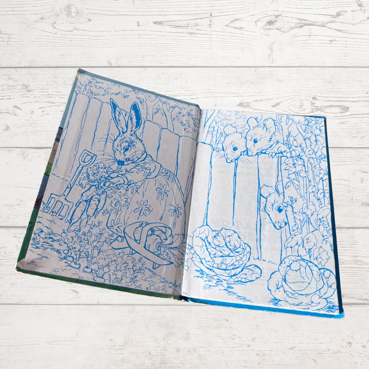 An open book with blue line art illustrations of garden animals and plants, photographed on a light whitewashed wooden surface.