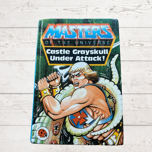 Castle Grayskull Under Attack ! He - Man. Masters of the Universe. Vintage ladybird book. Great gift idea