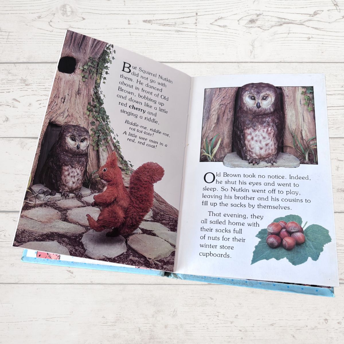 Open book with illustrations of an owl and a red squirrel on a wooden surface