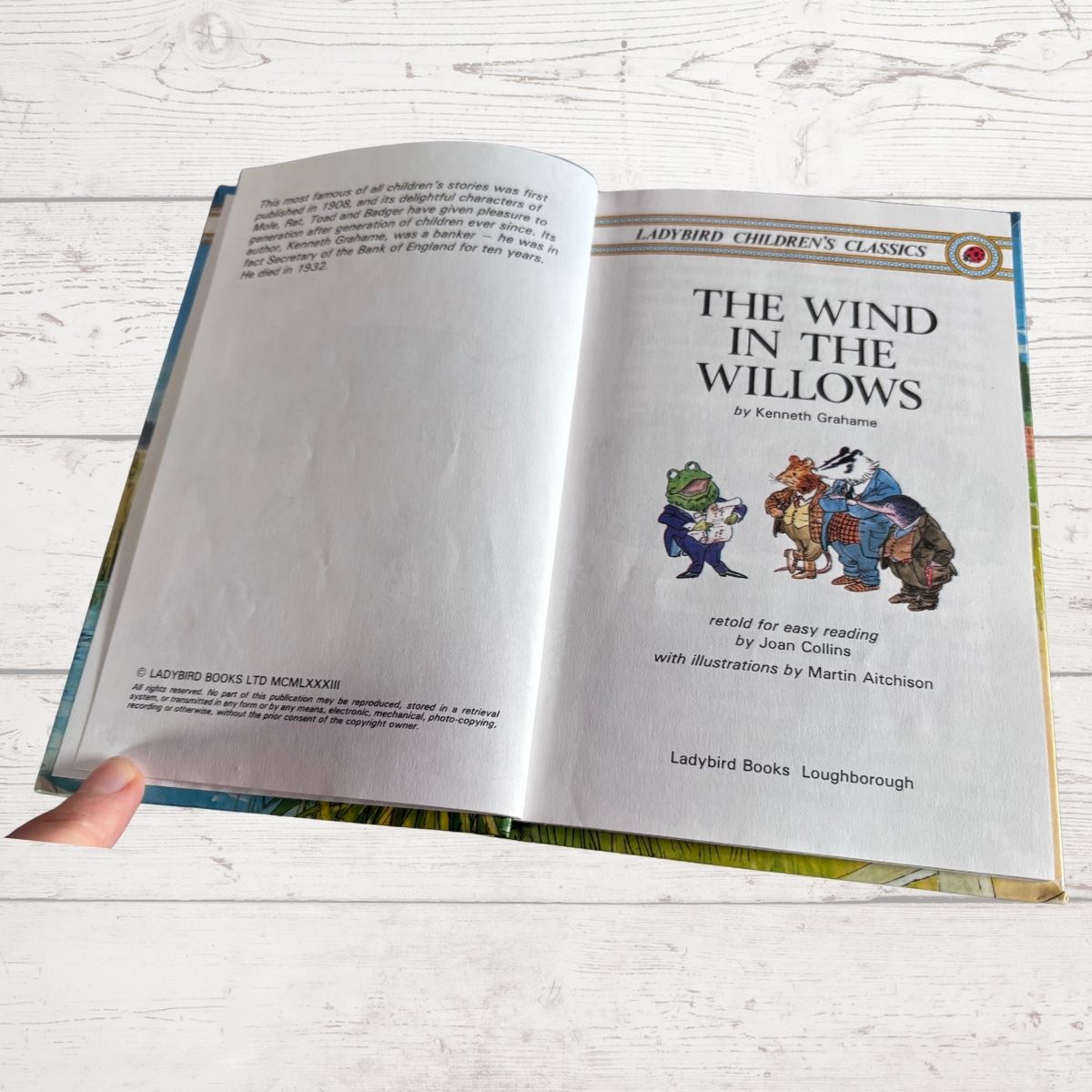 The Wind in the Willows.Ladybird Children’s Classics Vintage Book .Series 740. Nostalgic gift idea
