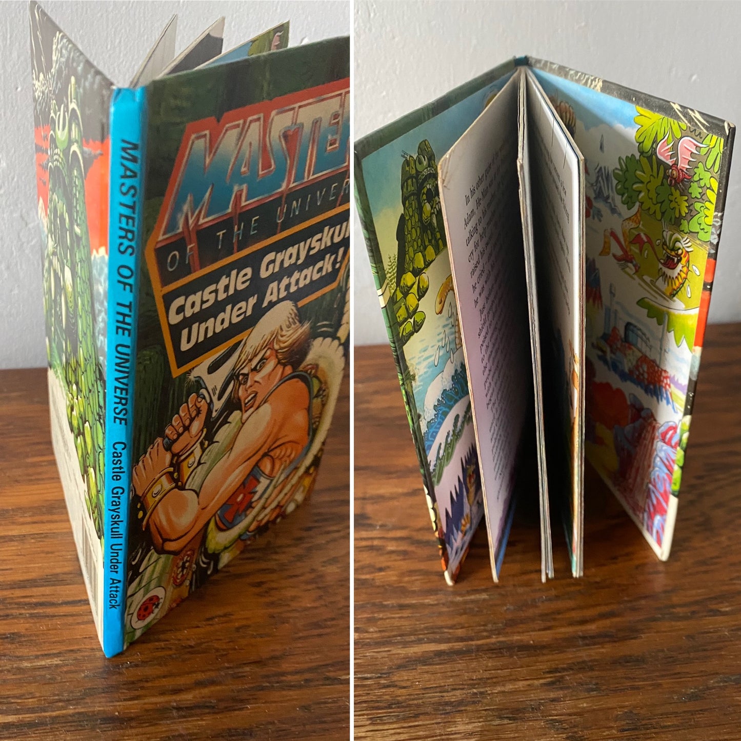 Castle Grayskull Under Attack ! He - Man. Masters of the Universe. Vintage ladybird book. Great gift idea