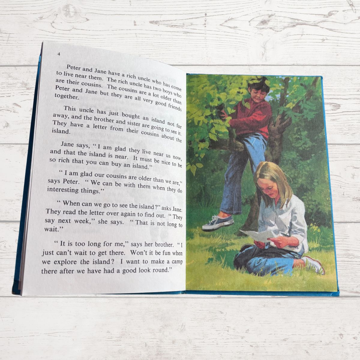 Open book with a colorful illustration of two children in a tree and text on a wooden surface.