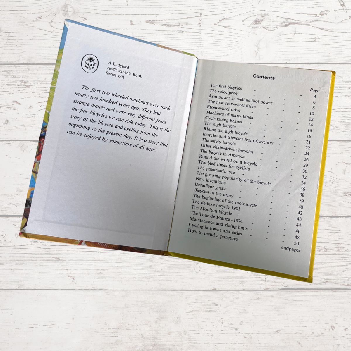 An open book showing the interior pages with printed text, a table of contents, and a colorful illustrated border along the left margin, photographed on a light wood surface.