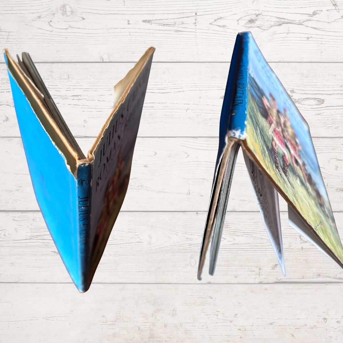 vintage hardcover book standing open against a light whitewashed wood plank background. The book on the left shows a bright blue cover with worn edges and partially visible text.
