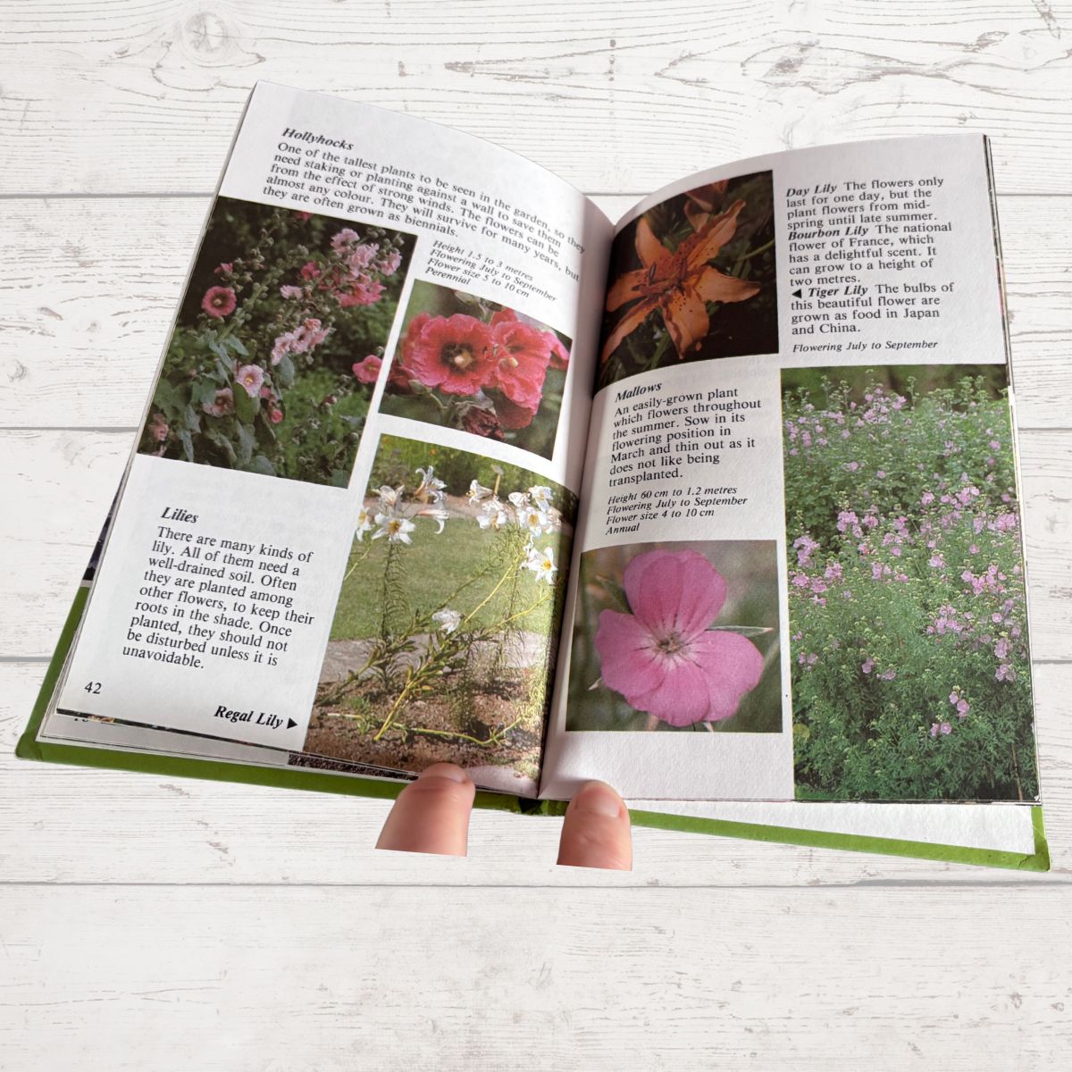 An open printed book showing pages with text and multiple flower photographs, held open by two fingers on a light wood surface.