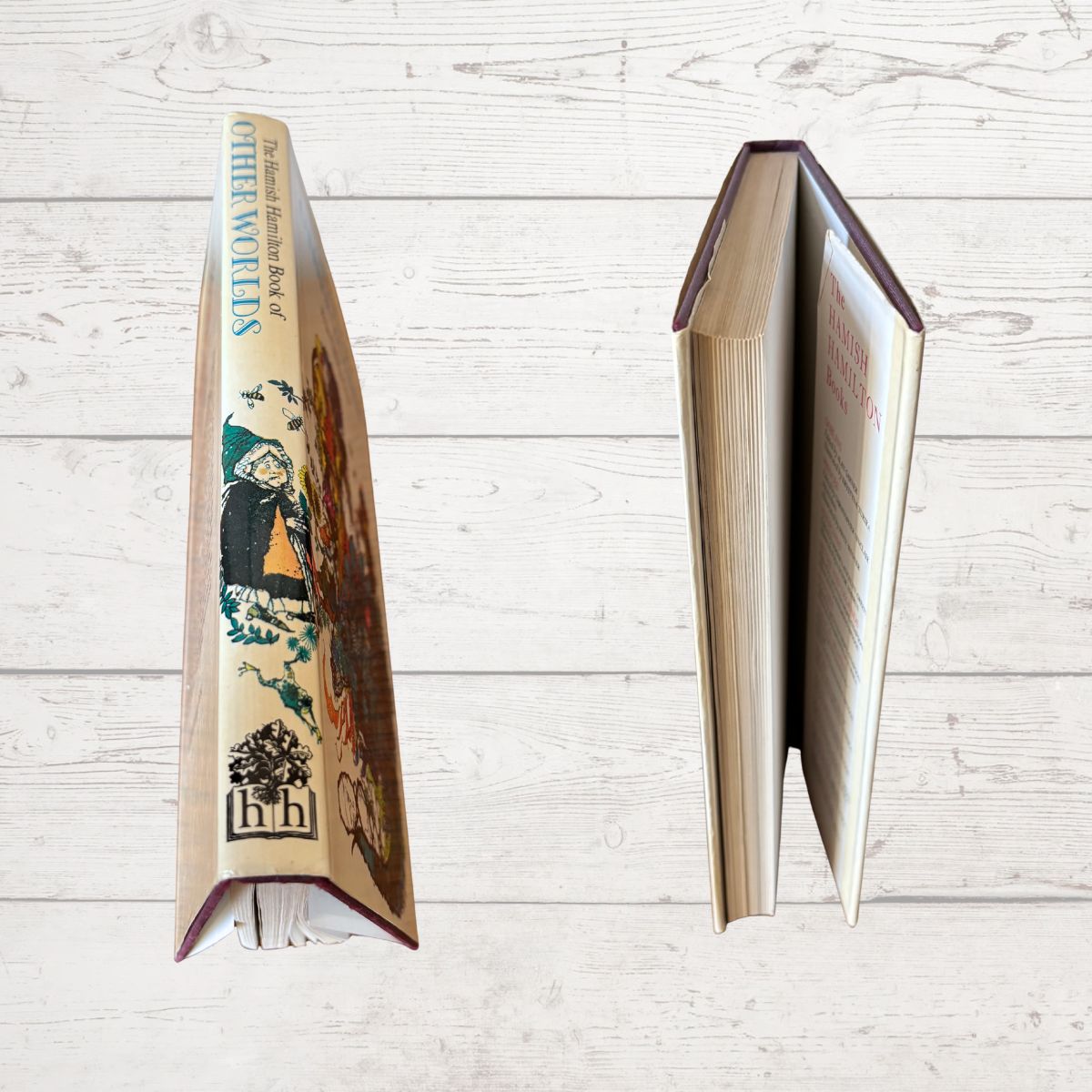 Spine close up of Hamish Hamilton book of other worlds 