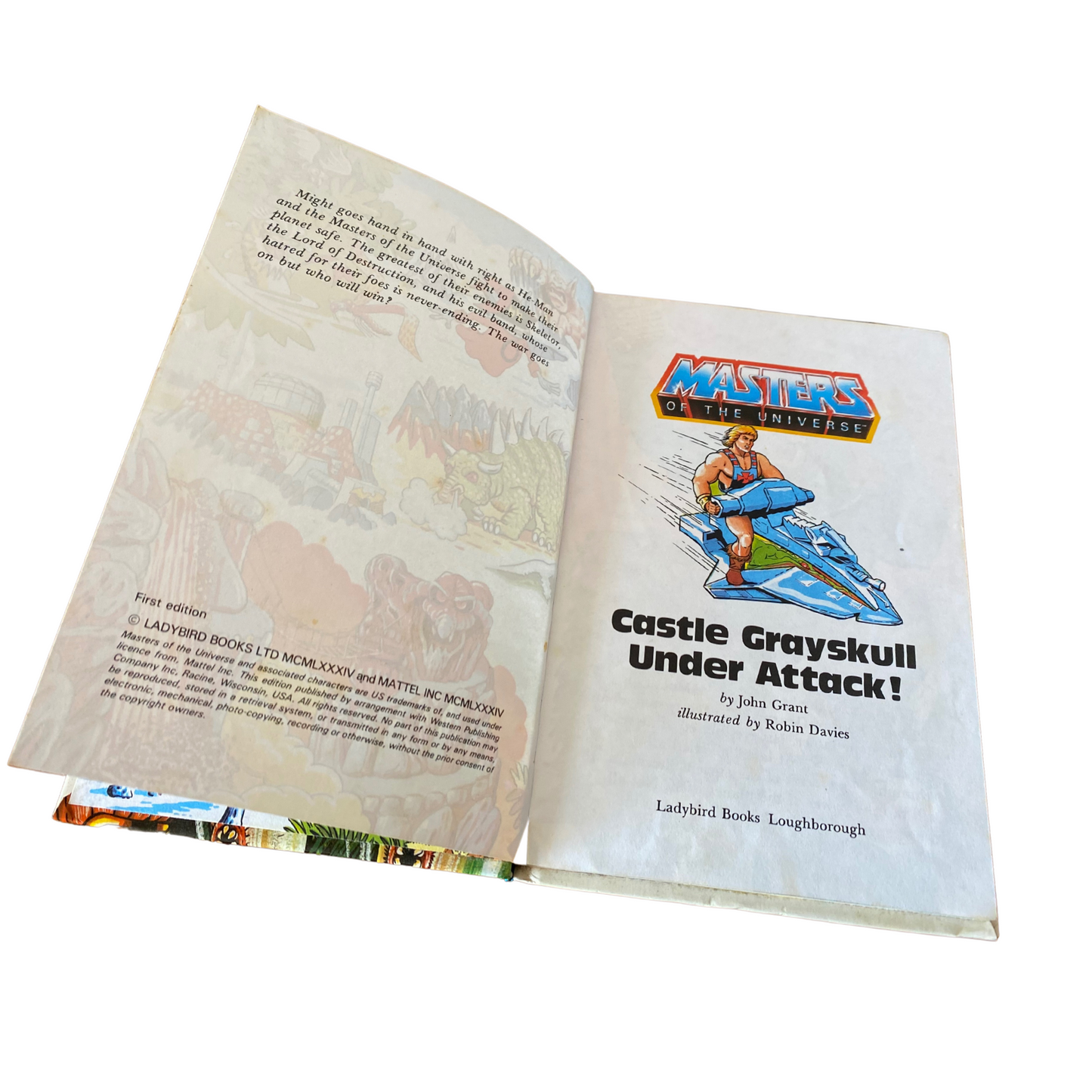 Small hardback book with glossy cover - He-Man Masters of the Universe