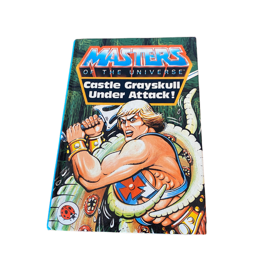 Vintage Ladybird He-Man Masters of the Universe book cover