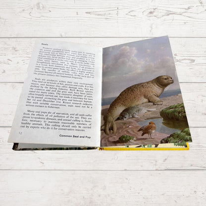 Vintage 1970s book, Wild Life in Britain. A Ladybird  Conservation Book. Series 727