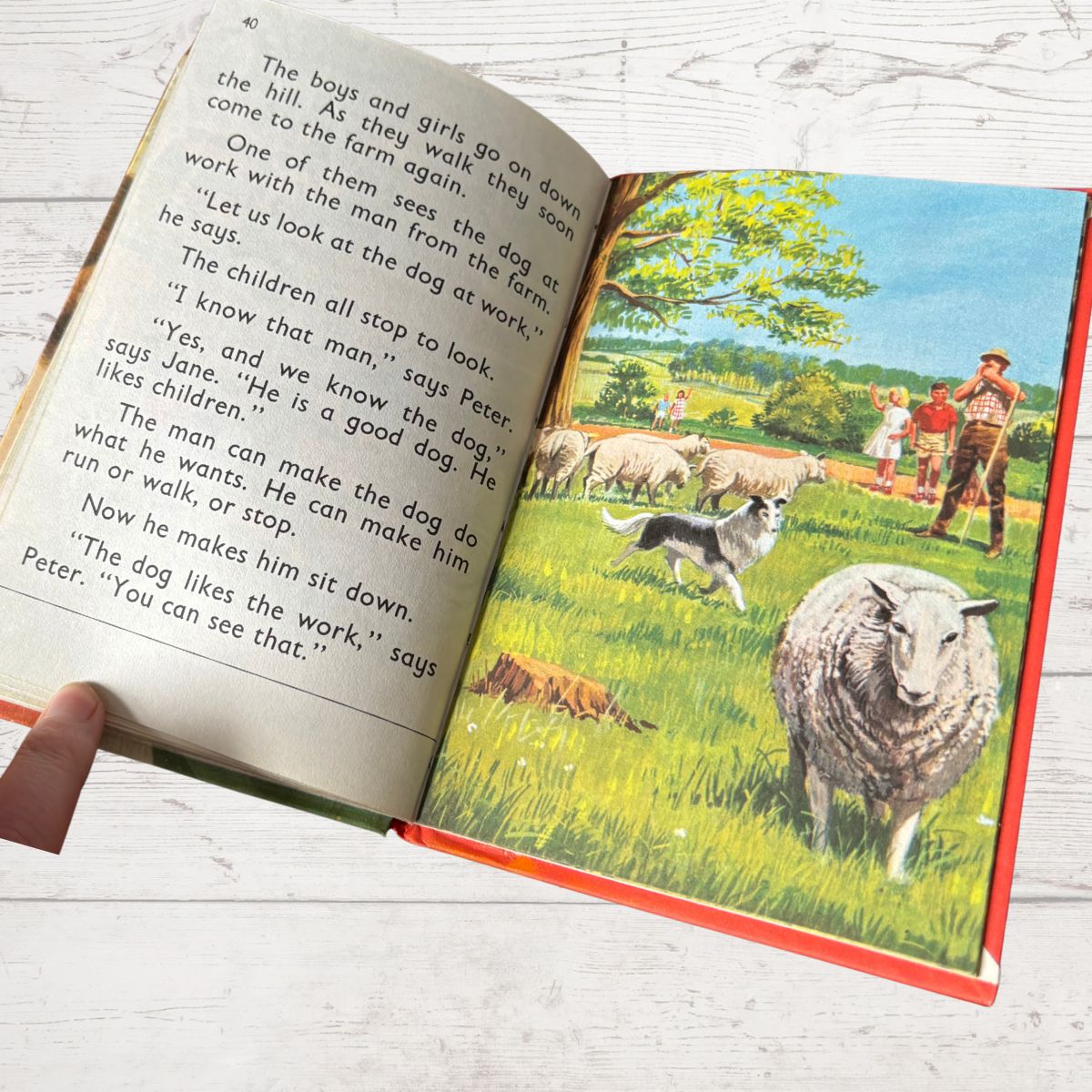 Open book with a colorful illustration of a farm scene on a wooden surface
