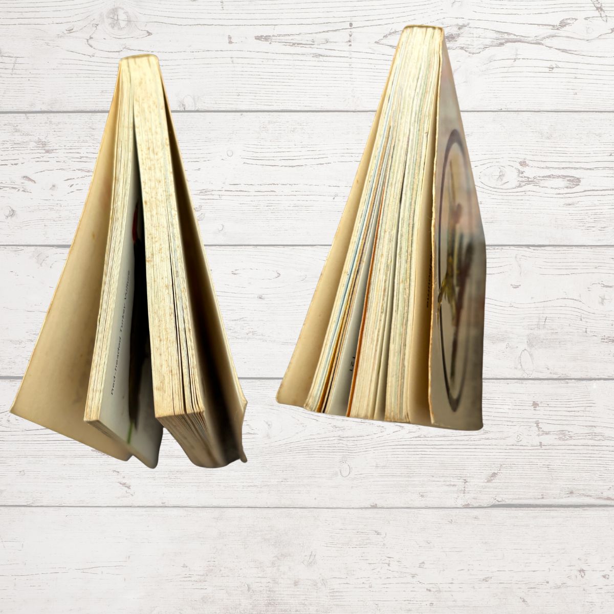 Close up of book spine on a white wood plank background.