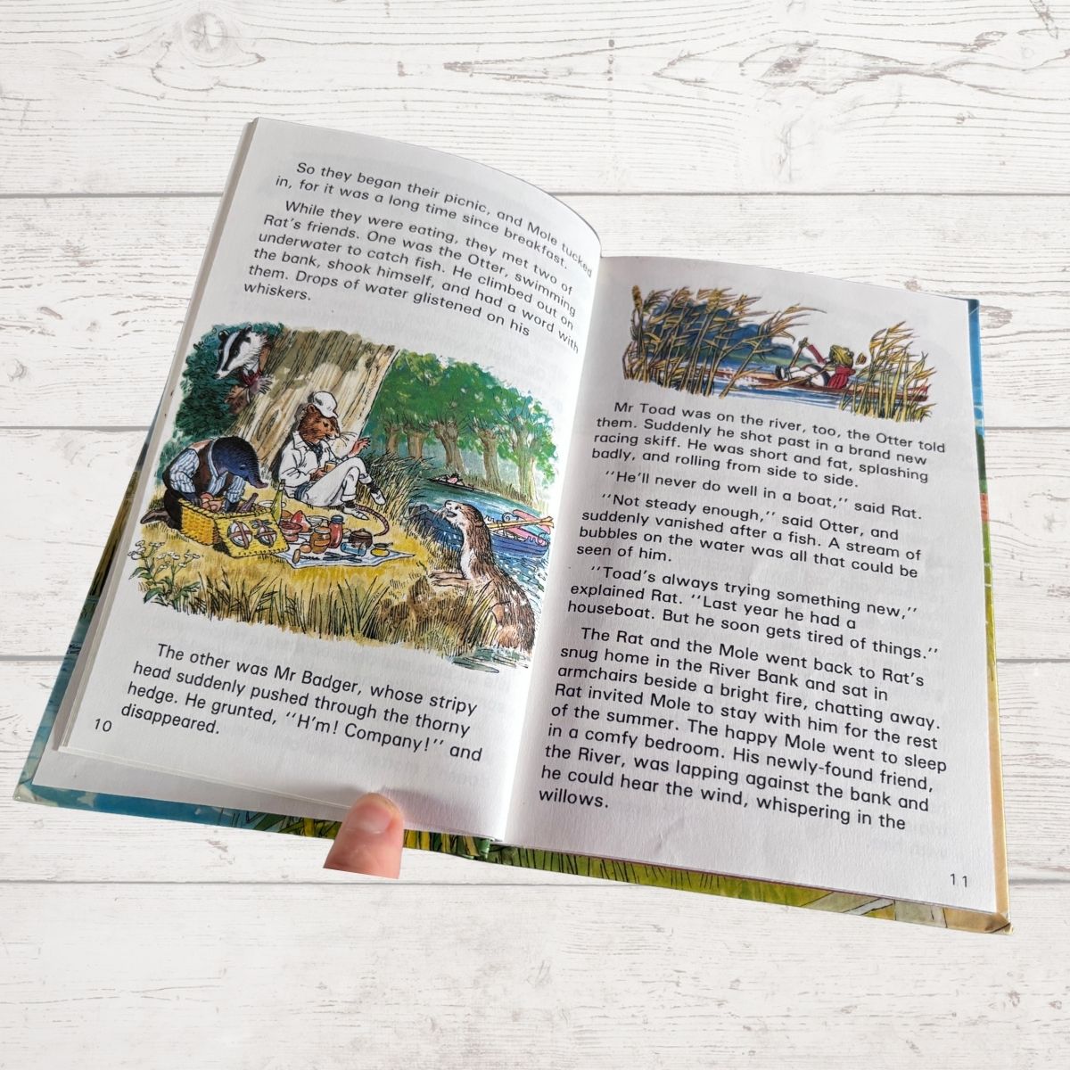 The Wind in the Willows.Ladybird Children’s Classics Vintage Book .Series 740. Nostalgic gift idea