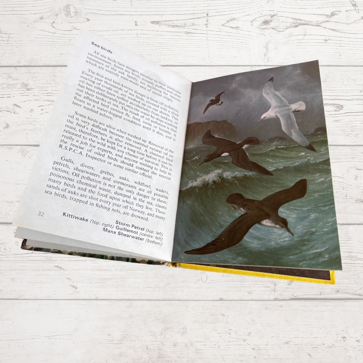 Vintage 1970s book, Wild Life in Britain. A Ladybird  Conservation Book. Series 727