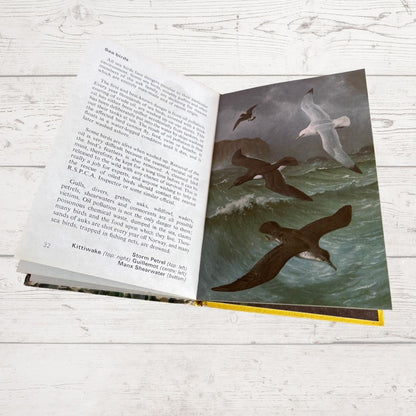 Vintage 1970s book, Wild Life in Britain. A Ladybird  Conservation Book. Series 727