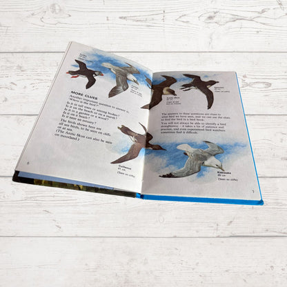 An open hardcover book showing illustrated pages about birds, photographed on a white wood surface. The pages contain watercolor-style bird drawings, text, and blue sky backgrounds.