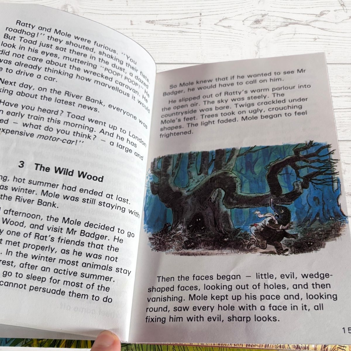 The Wind in the Willows.Ladybird Children’s Classics Vintage Book .Series 740. Nostalgic gift idea