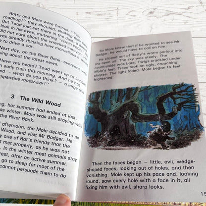 The Wind in the Willows.Ladybird Children’s Classics Vintage Book .Series 740. Nostalgic gift idea