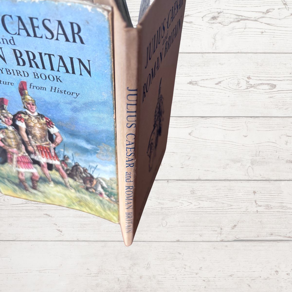 An open vintage hardcover book titled 'Julius Caesar and Roman Britain' showing the illustrated front cover and spine, photographed on a light wood plank surface.