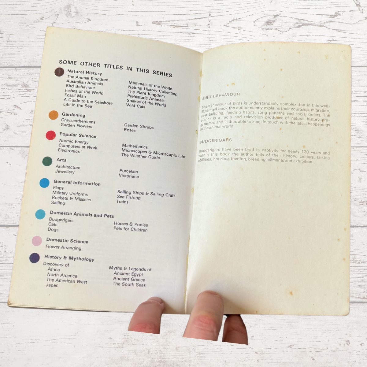 An open vintage book showing printed text and colored circular labels on the left page, held by a hand against a whitewashed wood background.