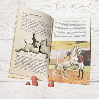 An open vintage children's book about horses, held by two fingers, showing text and illustrations of horses on a light wood background.