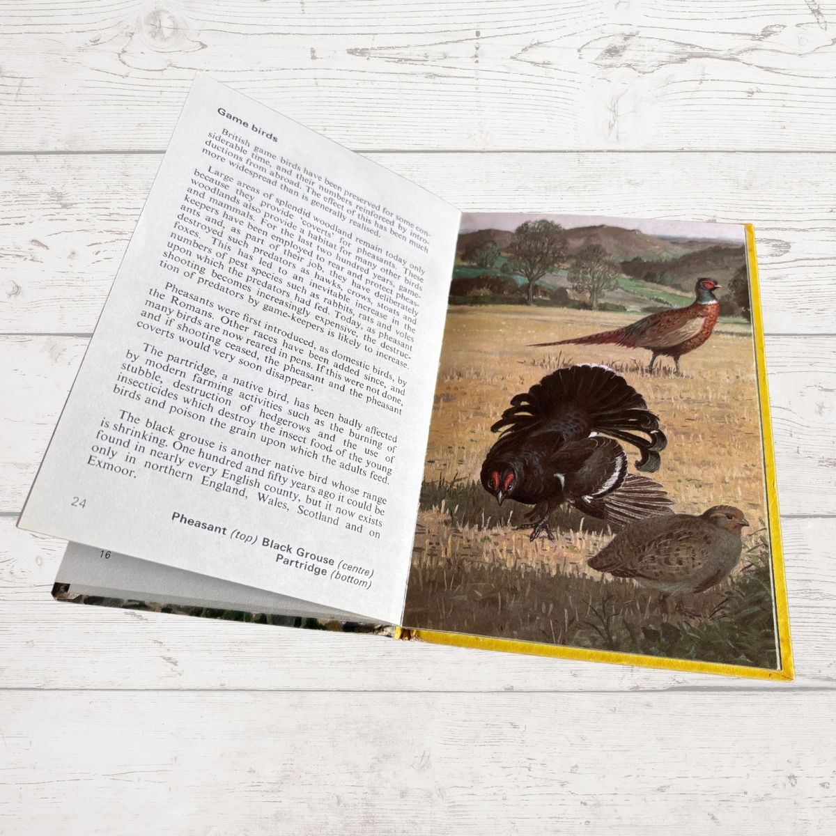 Vintage 1970s book, Wild Life in Britain. A Ladybird  Conservation Book. Series 727