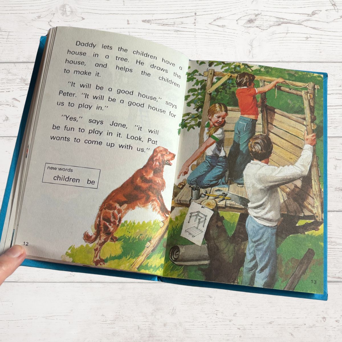 Open book with illustrations of children and a dog near a treehouse.