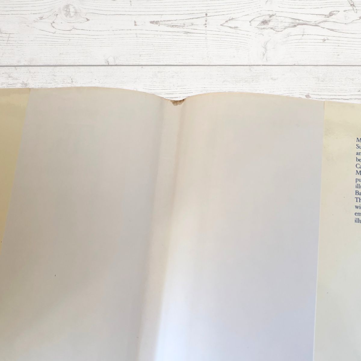 An open book with blank cream-colored pages, photographed from above on a white wooden surface.
