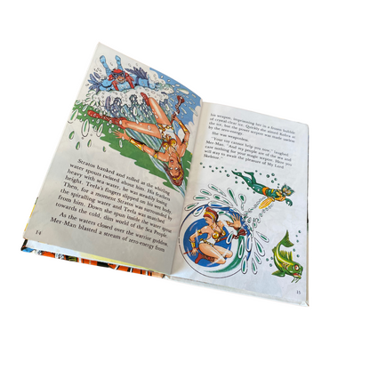 Illustrated by Robin Davies - He-Man Masters of the Universe book
