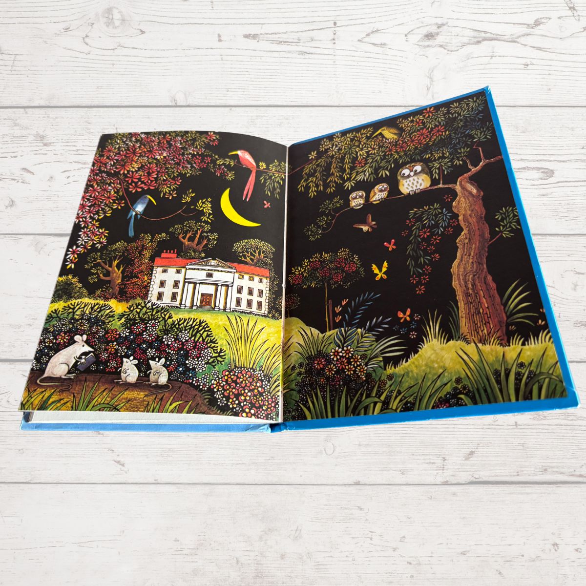 An open illustrated book with two illustrated spread pages, photographed on a white wood plank surface. The artwork depicts a dark woodland scene with a white house, birds, flowers, and a crescent moon; the book spine/border appears bright blue.