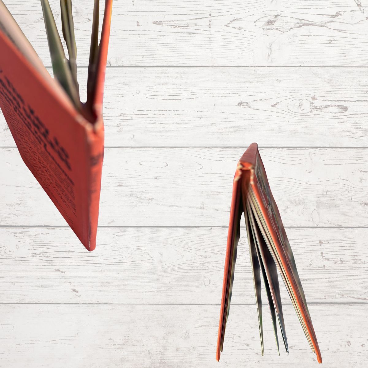 Book spine close up with page fanned out on a light wooden surface