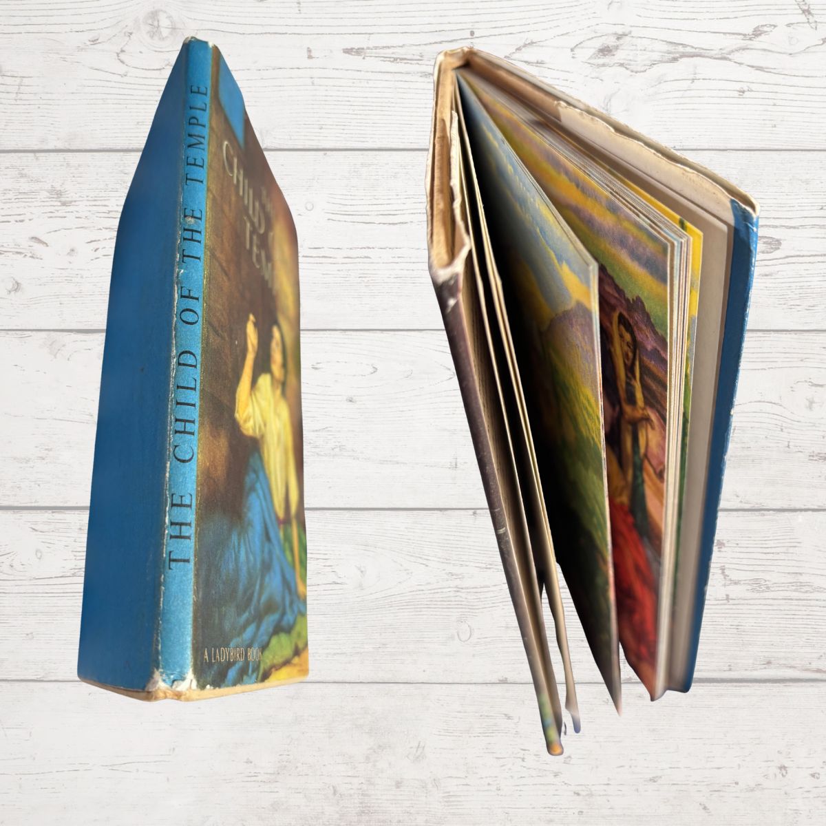 Book spine close up on a white surface 